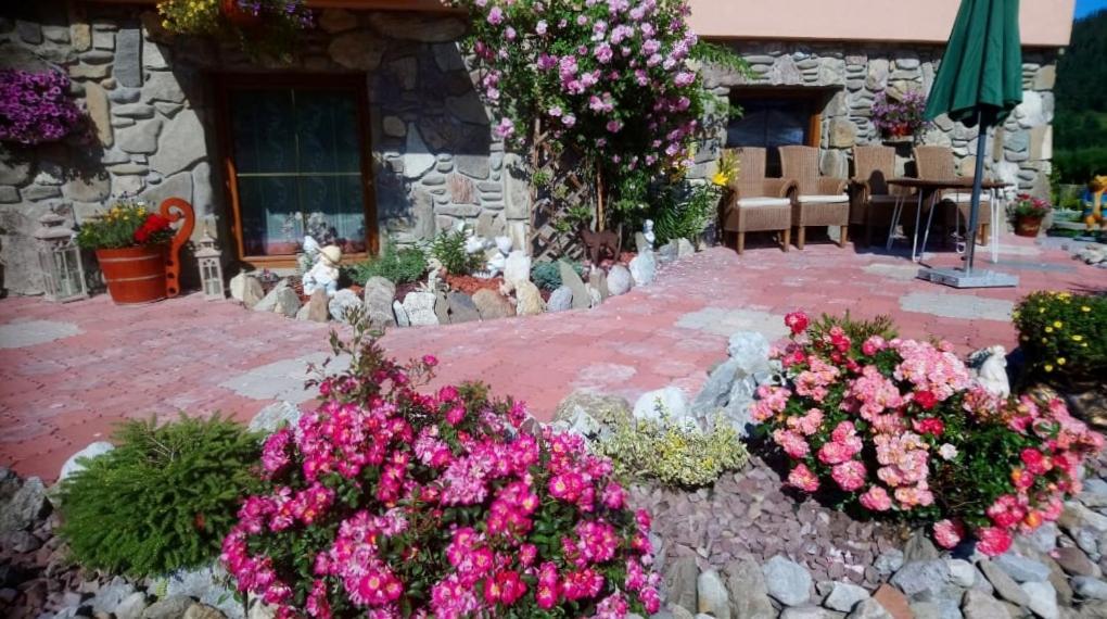 Ow. Orla Perc Bed and Breakfast Murzasichle Esterno foto
